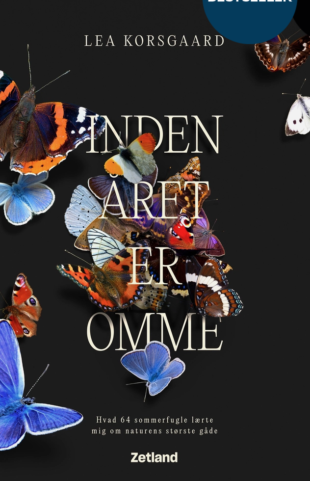 Inden året er omme bog